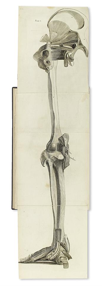 MONRO, ALEXANDER. A Description of All the Bursae Mucosae of the Human Body.  1788